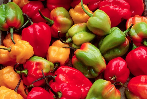 Bell Peppers And Its Substitutes