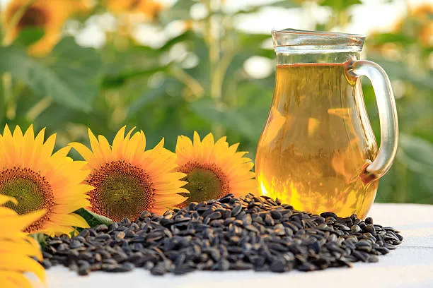 Sunflower Seeds And Its Substitutes