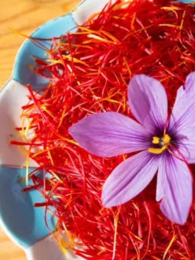 Saffron Threads And Its Substitutes