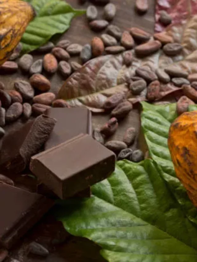 Cacao Nibs And Its substitutes