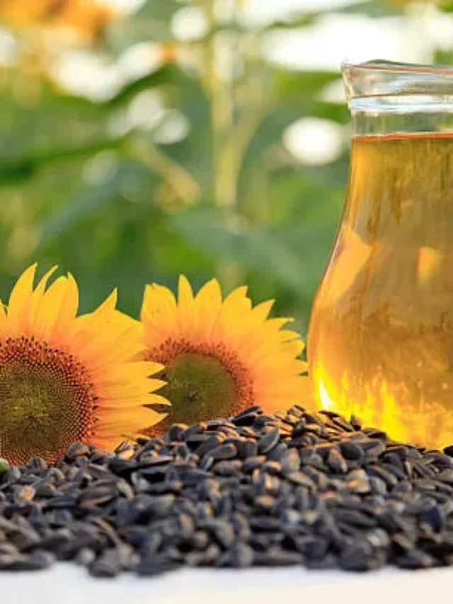 Sunflower Seeds And Its Substitutes